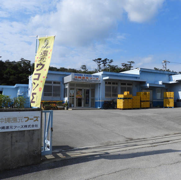Viên Uống Tinh Chất Nghệ Kangen Ukon Chay - Okinawa Nhật Bản - Ảnh 9